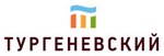 Тургеневский